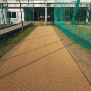 Insta Cricket Pitch
